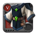 chest