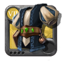 chest